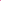 Crush Turtle Fuchsia XL